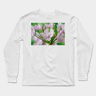 Allium unifolium  American onion Long Sleeve T-Shirt